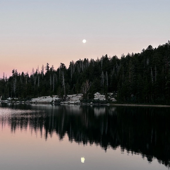 Meet your Posher, Alexandra - Picture 3 of 11